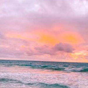 Meet your Posher, Ellie